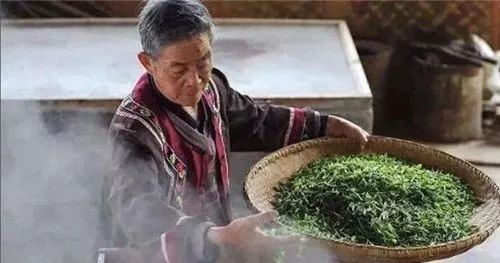 分不清綠茶的種類？一張圖幫你理清（收藏）