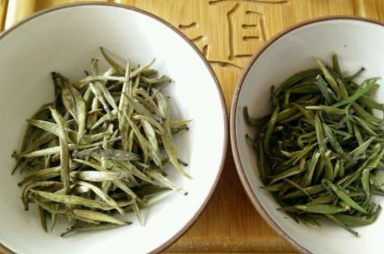 黃茶與綠茶的區(qū)別_黃茶和綠茶怎么區(qū)分？