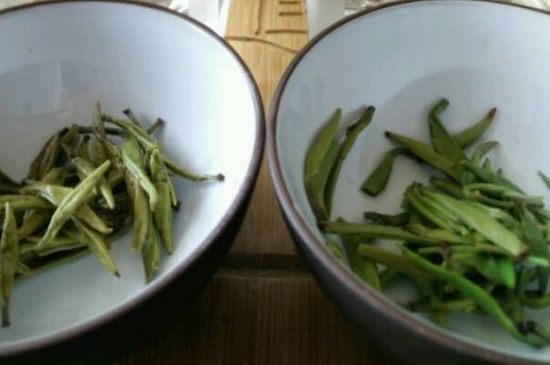 黃茶與綠茶的區(qū)別_黃茶和綠茶怎么區(qū)分？