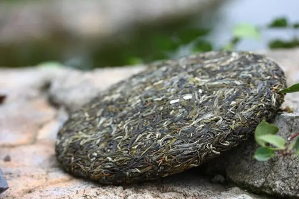 普洱茶屬于什么茶_普洱茶屬于什么類型