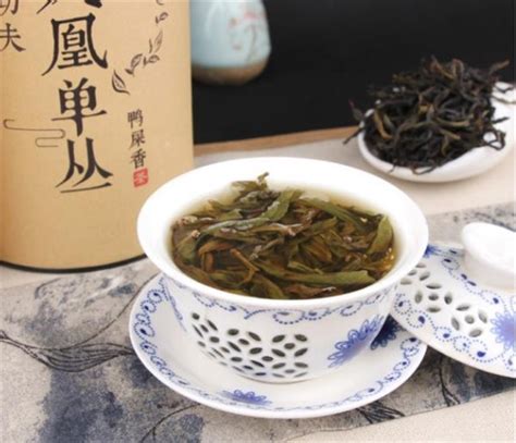 鳳凰單樅茶的功效與禁忌(鳳凰單樅屬于什么茶)