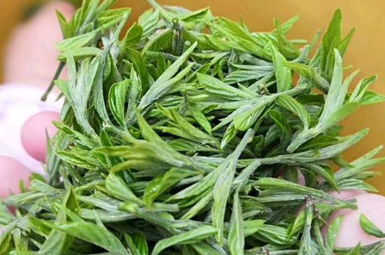 武夷山野茶屬于什么茶_武夷山野茶是紅茶嗎？