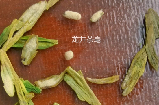 西湖龍井茶毫和發(fā)霉區(qū)別圖片_長(zhǎng)霉的龍井茶葉會(huì)是什么樣？