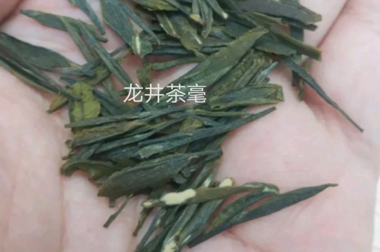 西湖龍井茶毫和發(fā)霉區(qū)別圖片_長(zhǎng)霉的龍井茶葉會(huì)是什么樣？