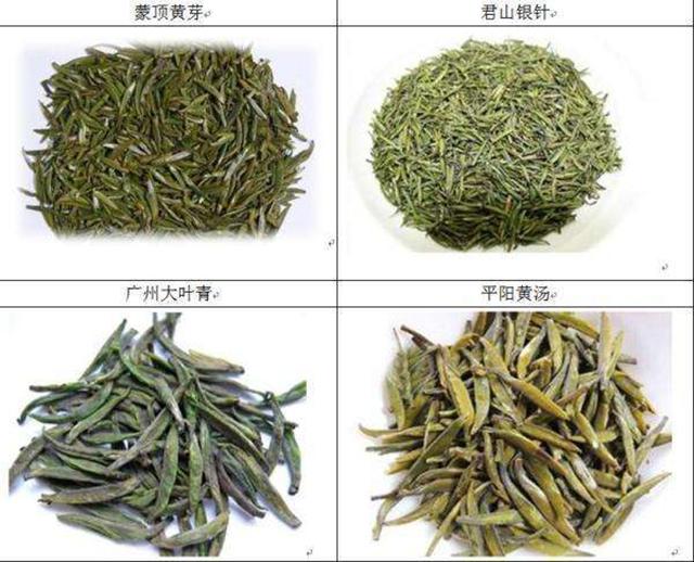 黃茶的品種有哪些？