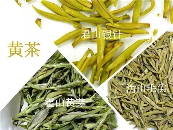 黃茶有哪些品種？黃茶的特點(diǎn)是什么？