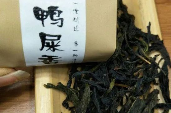 鴨屎香鳳凰單叢茶葉簡介!