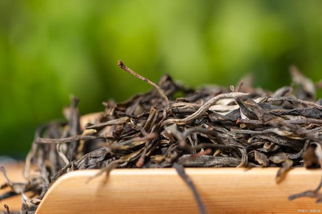 普洱龍珠茶要怎么泡？