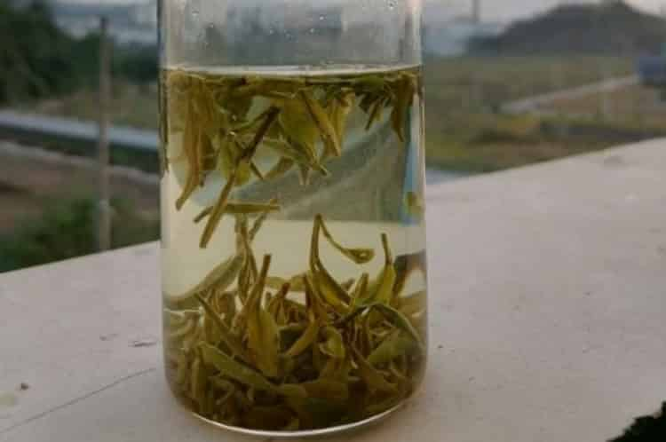 古代好聽的茶名_好聽的古風(fēng)茶名字