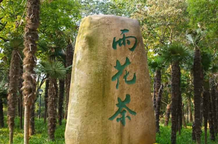 南京十大雨花茶_南京哪個(gè)茶廠的雨花茶最好喝？