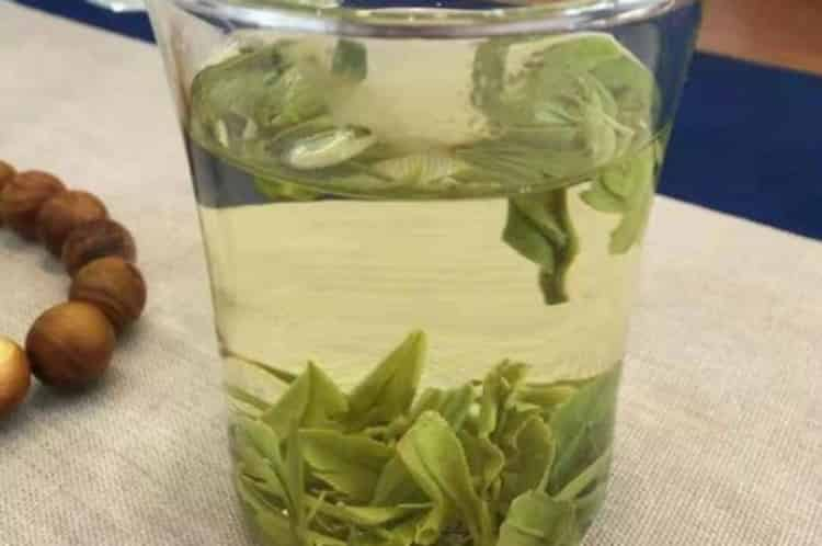 不懂茶葉應該怎么進貨_批發(fā)茶葉去哪里拿貨？