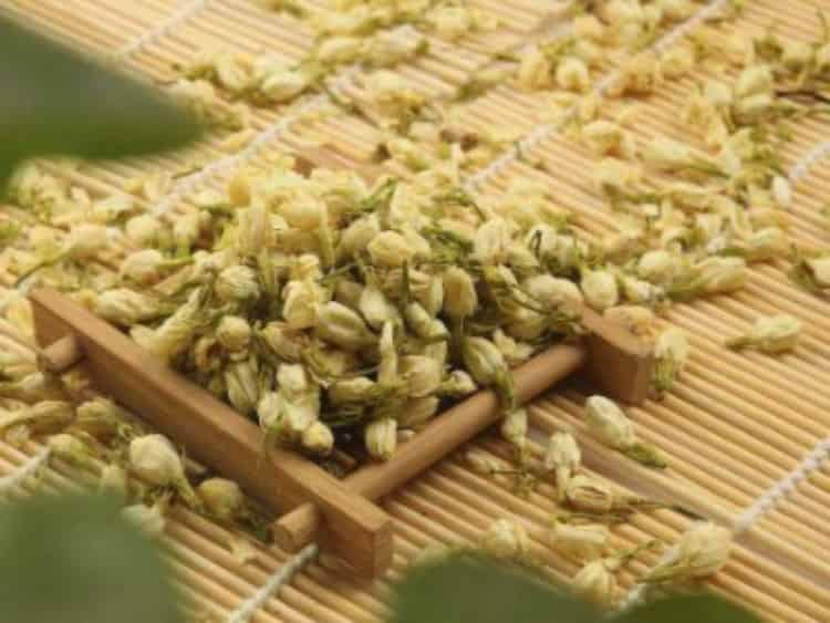 茶葉的專業(yè)知識_關(guān)于茶的基本知識大全