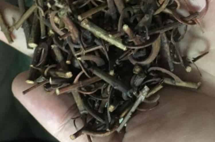 莓茶是中藥勾藤和葉嗎_藤茶是不是勾藤的葉子？