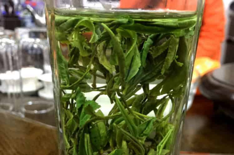 黃山野茶屬于什么茶_黃山野茶是什么品種？