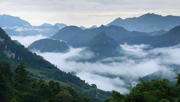 臨滄茶葉前十名（一文了解臨滄的10大代表茶）