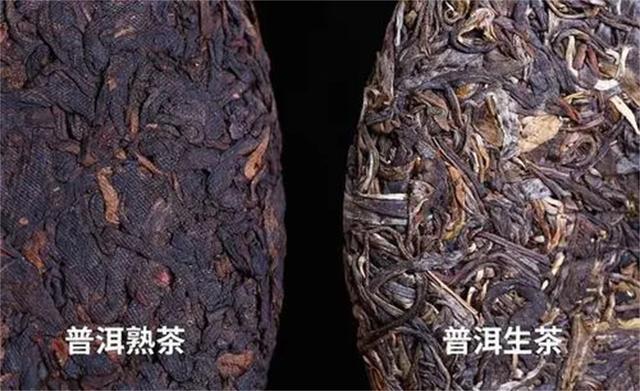 一克熟茶五億霉菌，一杯熟茶等于一杯臟水？普洱熟茶真的喝不