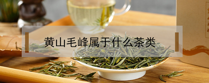 黃山毛峰屬于什么茶類(lèi)？黃山毛峰屬于綠茶類(lèi)