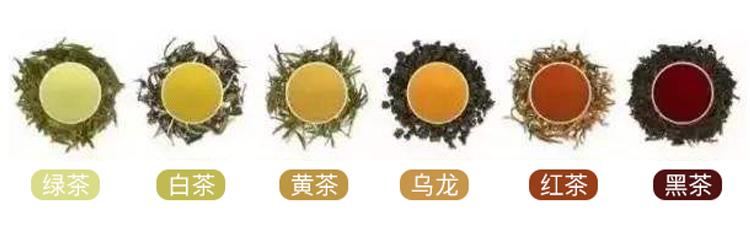 鐵觀音是紅茶還是綠茶（分辨鐵觀音好壞的方法）