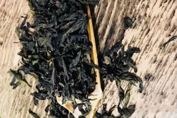 四大名樅是什么品種_四大名樅分別是哪四種茶葉