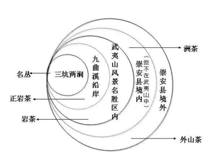 如何區(qū)分武夷山正巖、半巖、洲茶？