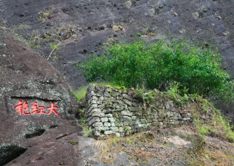 中國(guó)最貴茶葉排名價(jià)格表，中國(guó)名茶排行榜及價(jià)格