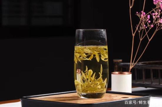 黃金芽是什么茶？