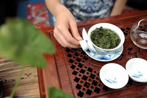 七子餅普洱茶冷泡法（云南七子餅茶的泡法）