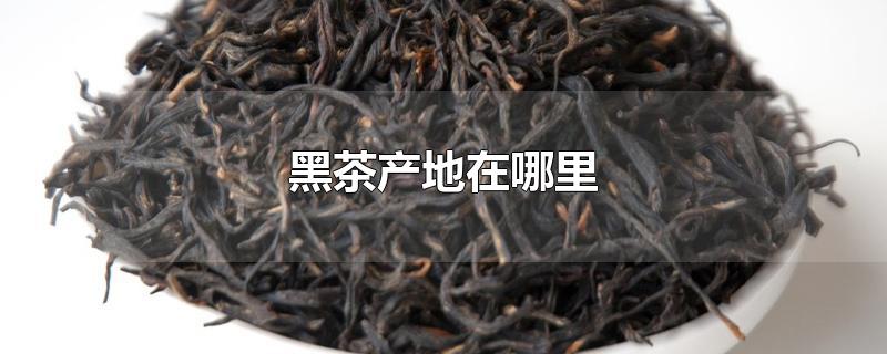 黑茶產(chǎn)地在哪里（什么地方的黑茶最好）