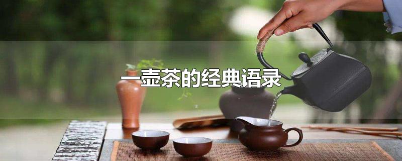 一壺茶的經(jīng)典語錄（一人一茶一心境的句子）