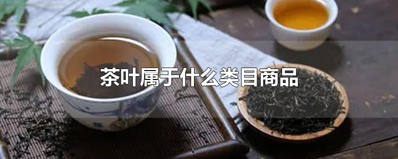 茶葉屬于什么類目商品（茶葉商品分類是什么）