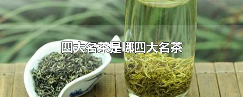 四大名茶是哪四大名茶（十大名茶有哪些十大名茶排名）