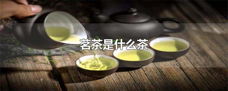 茗茶是什么茶（茗茶是什么茶種）