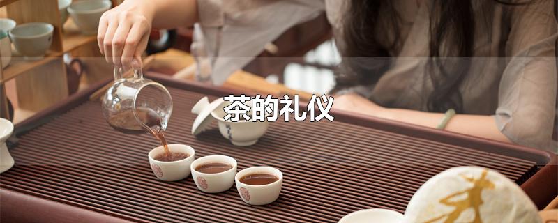 茶的禮儀（茶的禮儀小知識）