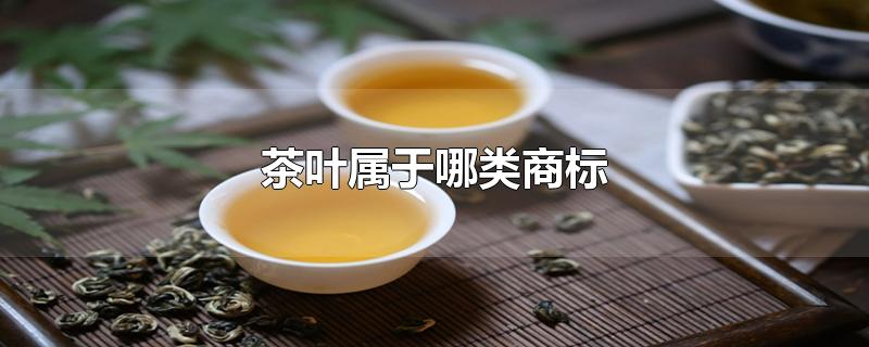 茶葉屬于哪類商標（茶葉屬于哪類商標類別）