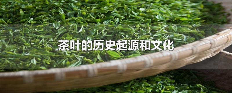 茶葉的歷史起源和文化（茶葉的歷史起源和文化圖片）