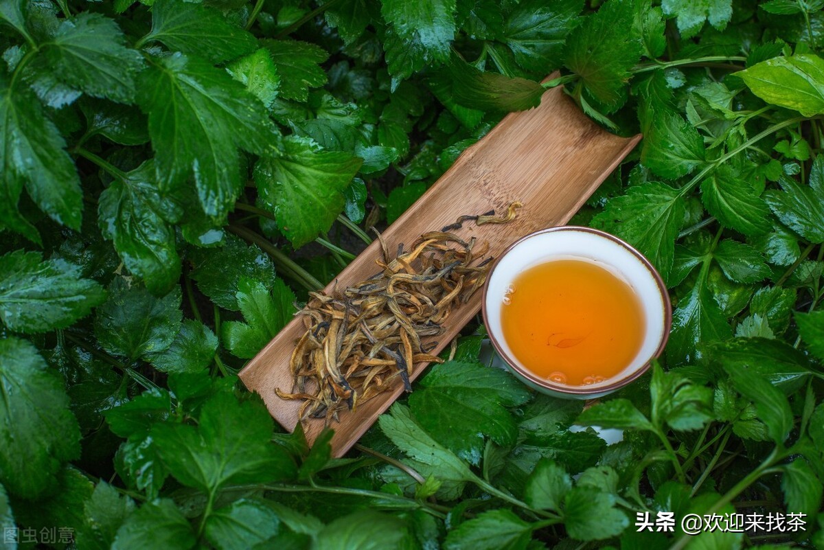 什么牌子的紅茶最好喝（最頂級(jí)的紅茶排行榜前10）