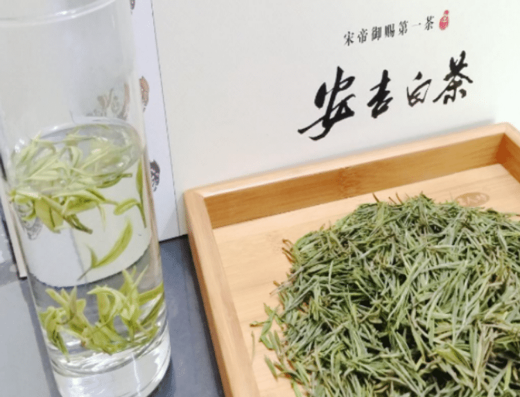 安吉白茶怎么才能泡出好喝的茶水?帶你快速了解安吉白茶的正確