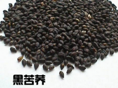 女人喝黑苦蕎茶有什么好處？愛美的你趕