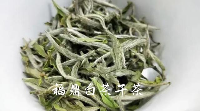 綠茶丨安吉白茶，明明是綠茶，為什么叫白茶？