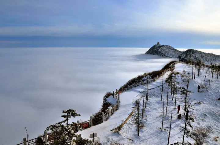 茶葉科普 | 峨眉雪芽