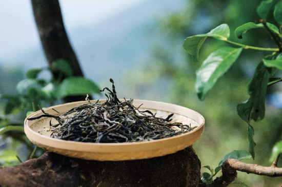 小罐茶有幾種茶