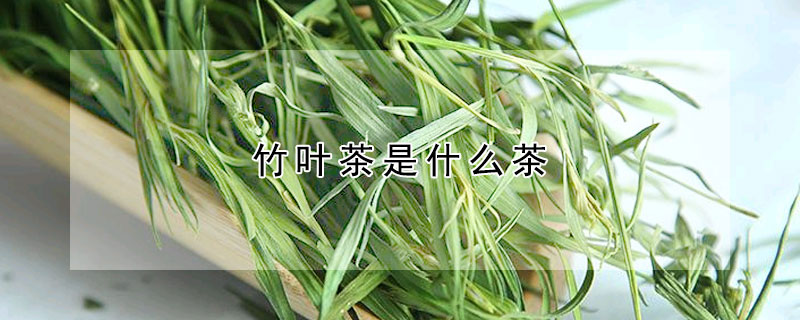 竹葉茶是什么茶？