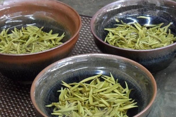 廬山云霧茶屬于什么茶，廬山云霧茶是哪種茶