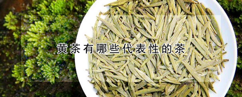 黃茶有哪些代表性的茶？