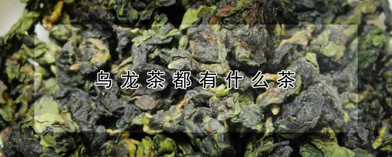 烏龍茶都有什么茶？烏龍茶有哪些品種