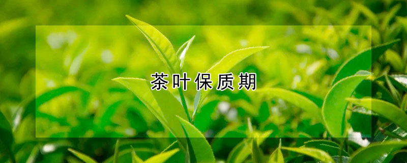 茶葉保質(zhì)期（茶葉保質(zhì)期為多久）