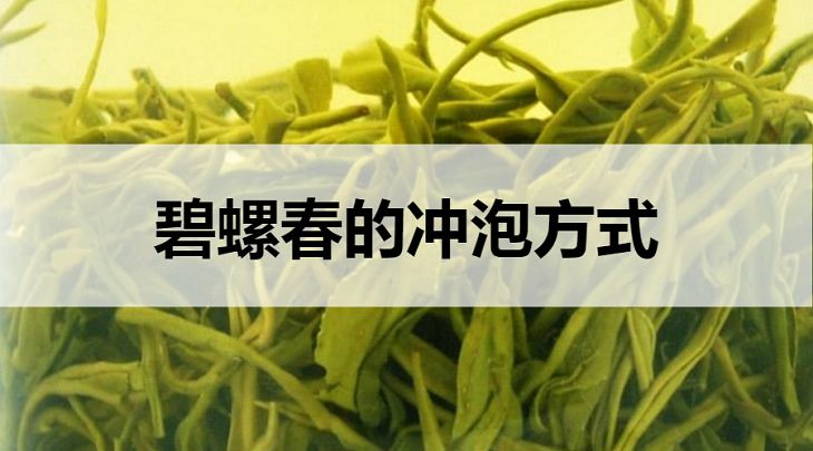 碧螺春的沖泡方式