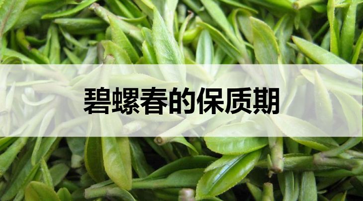 碧螺春的保質(zhì)期是多久？