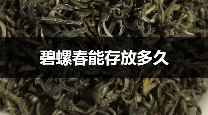 碧螺春能存放多久？