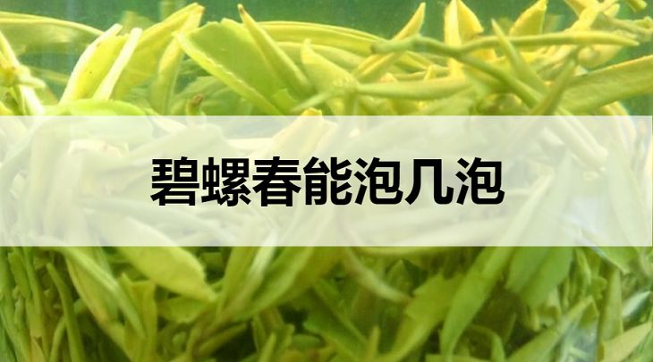 碧螺春能泡幾泡？